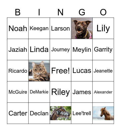 Name Bingo Card