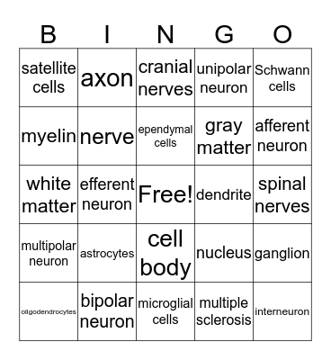 Neural Tissue Bingo Card