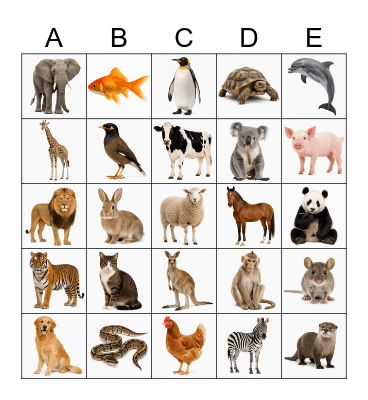 Animal Bingo Card
