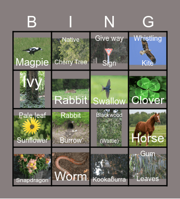 Walking trail Bingo Card