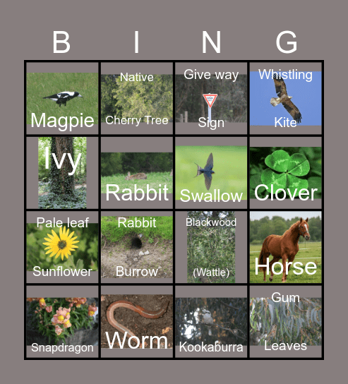 Walking trail Bingo Card