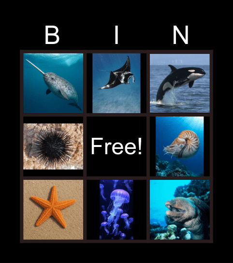 Sea Animals Bingo Card