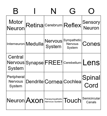 Chapter 6 Bingo Card