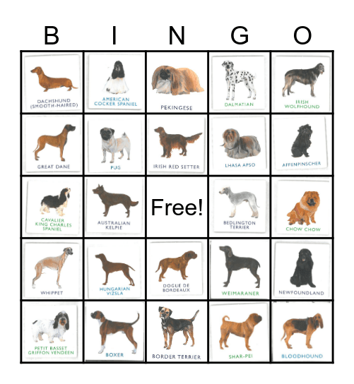 Dog Bingo Card