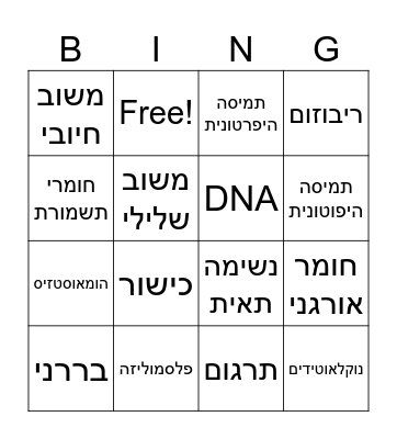 חזרה על מושגי יסוד בביולוגיה Bingo Card