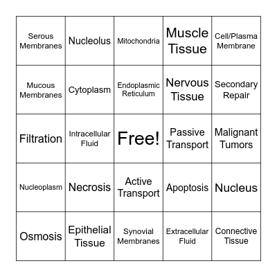 Chemistry of Living Things Vocab Bingo Card