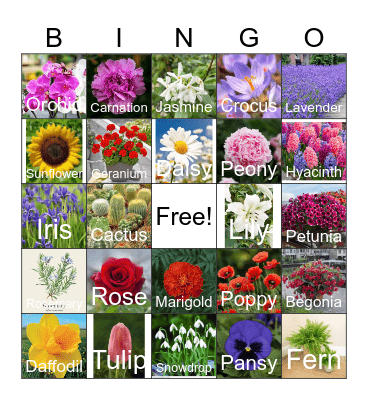 Plants Bingo Card