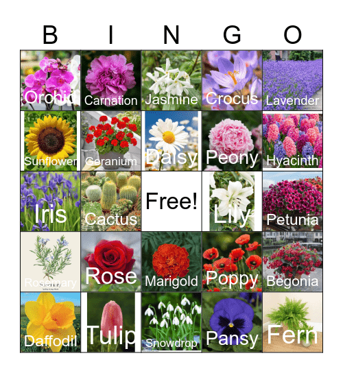 Plants Bingo Card