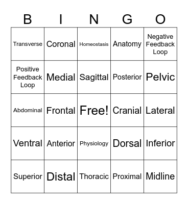 Anatomical Directions & Planes Bingo Card