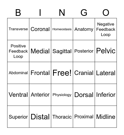 Anatomical Directions & Planes Bingo Card