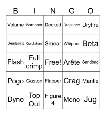 Whats a beta??? Bingo Card