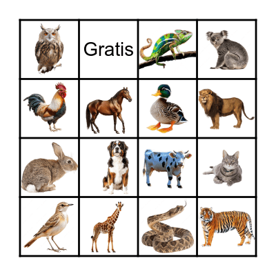 Bingo de Animales Bingo Card
