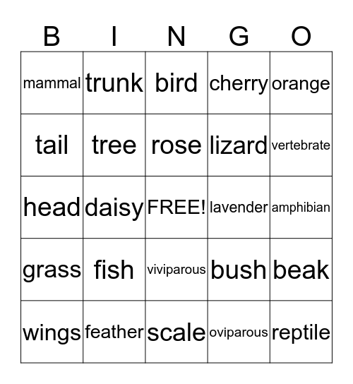 Plants Bingo Card