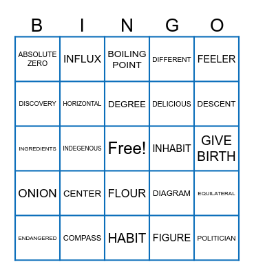 VOCABULARY WORDS Bingo Card