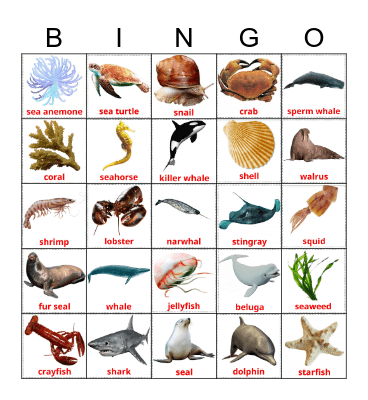 SEA ANIMALS Bingo Card