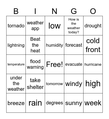 Weather Unit Bingo Card