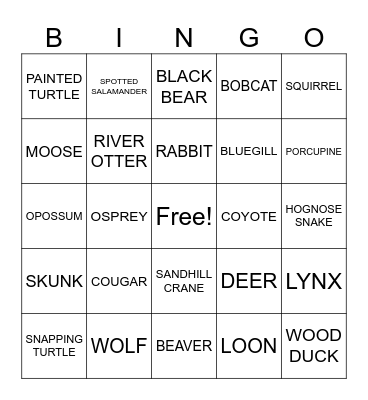 Animal Bingo 2 Bingo Card