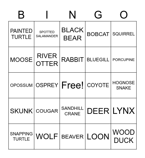 Animal Bingo 2 Bingo Card