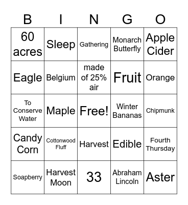 Valor Volunteers Bingo Card