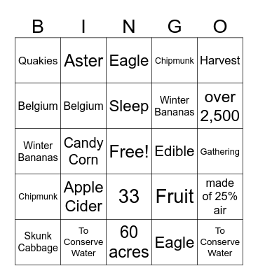 Valor Volunteers Bingo Card