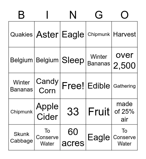 Valor Volunteers Bingo Card