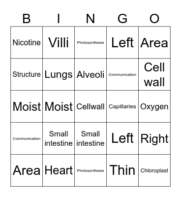 Cells and Body Systems Revision Bingo Card