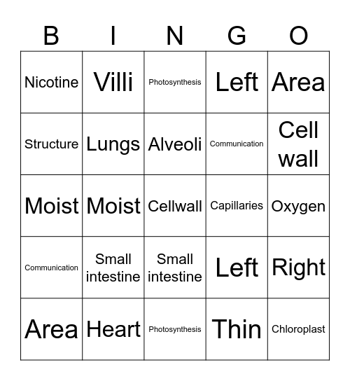 Cells and Body Systems Revision Bingo Card