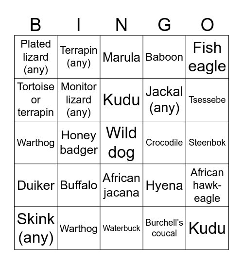 Kruger 2026 Bingo Card
