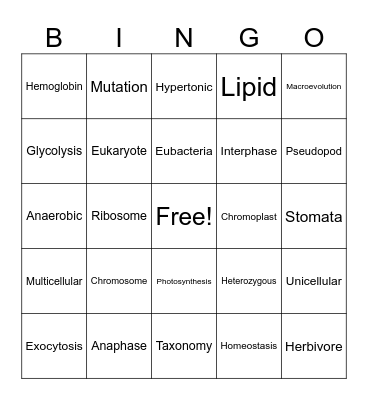 Language of Biology Bingo Card