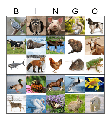 LES ANIMAUX Bingo Card