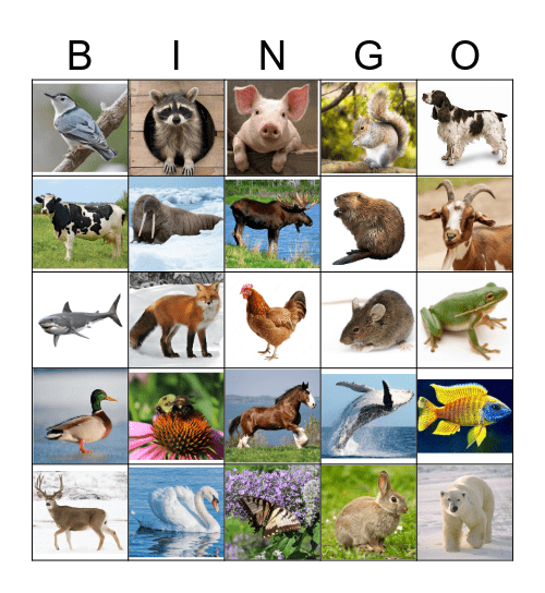 LES ANIMAUX Bingo Card