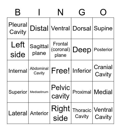 Anatomical Bingo Card