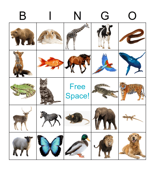 Fluffy Bingo! Bingo Card