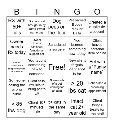 Veterinary CSR Bingo Card