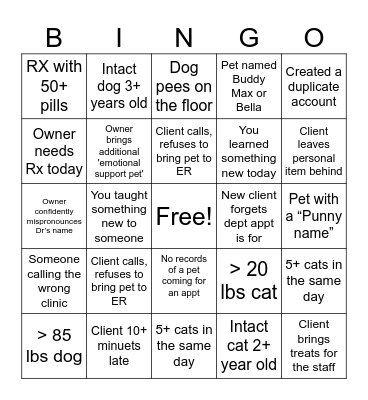 Veterinary CSR Bingo Card