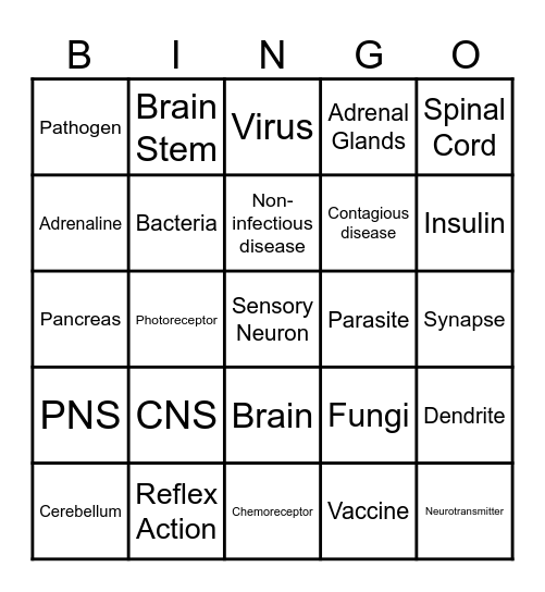 Homeostasis & Diseases Bingo Card