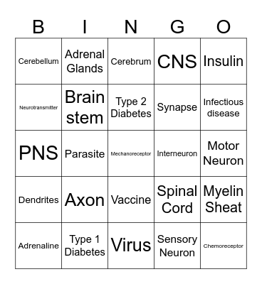 Homeostasis & Disease Bingo Card