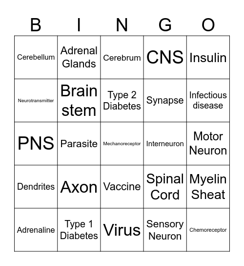 Homeostasis & Disease Bingo Card