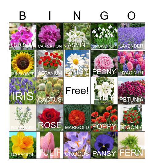 Plants Bingo Card