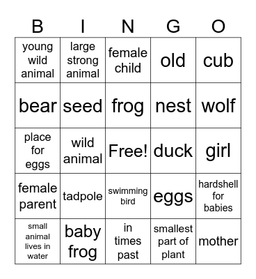 1st Grade Unit 1 Bingo Card