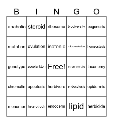 LOB Bingo Card
