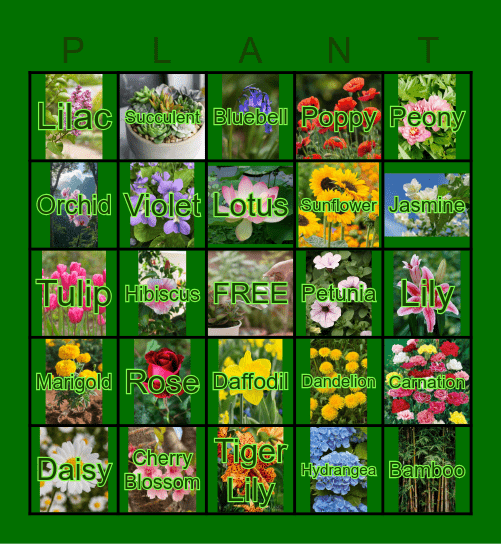 Plant Bingo !! Bingo Card