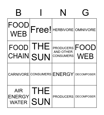 FOOD WEB Bingo Card