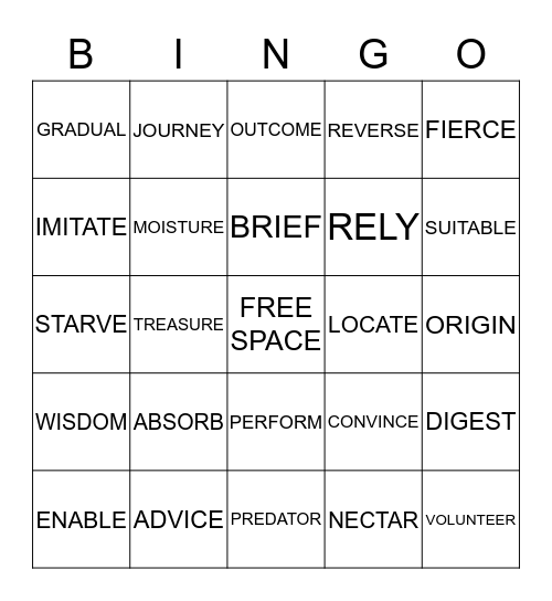 3RD GRADE VOCABULARY Bingo Card