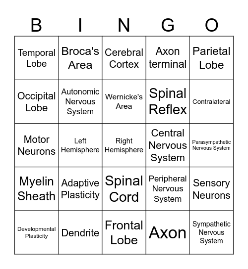 Year 10 Nervous Systems Bingo Card