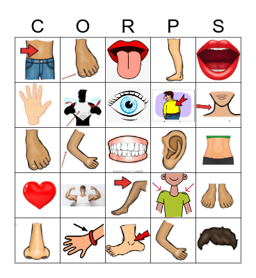 Les parties du corps Bingo Card