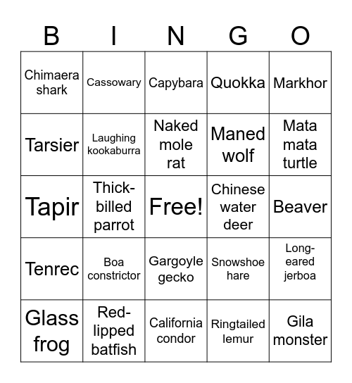 Animal Bingo Card