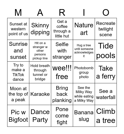 Mario and Alina go to Washington! Bingo Card