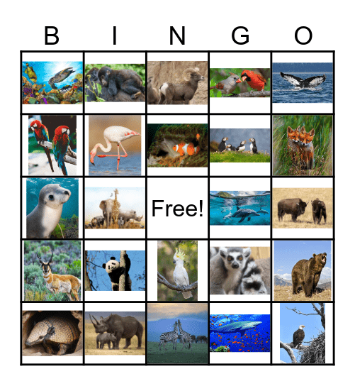 Wildlife Bingo Card