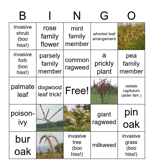PRAIRIE FEST BINGO! Bingo Card